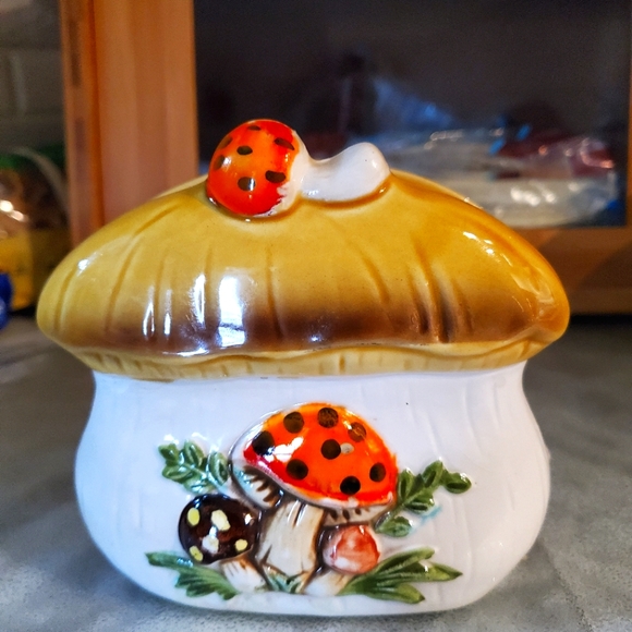 Sears Other - COPY - MUSHROOM NAPKIN HOLDER